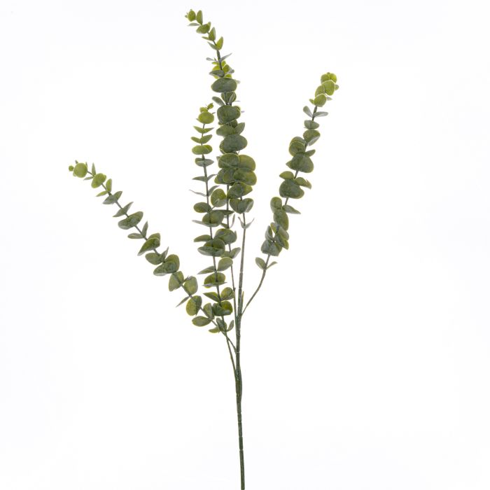 Gunnii Eucalyptus Spray - Green