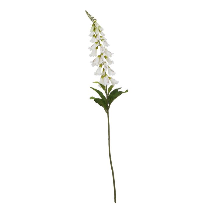 Natural Outdoor Collection White Foxglove
