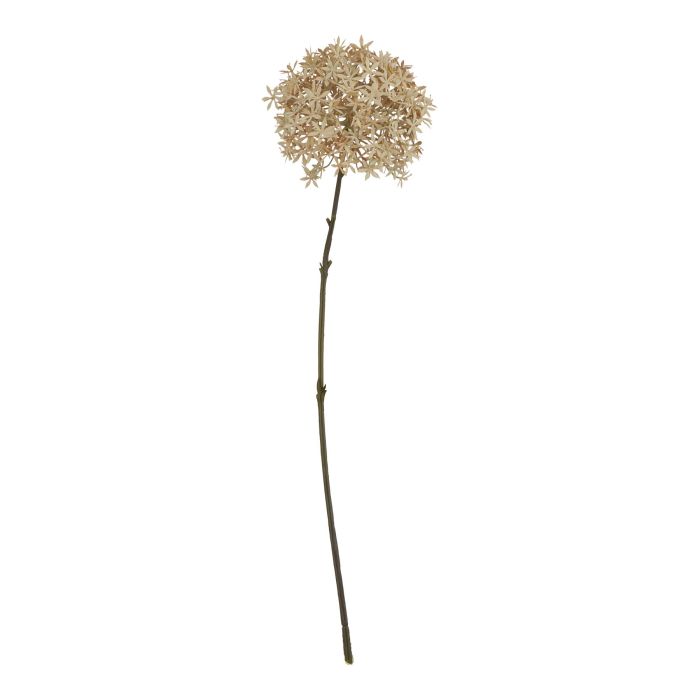 Fabric Coffee Allium