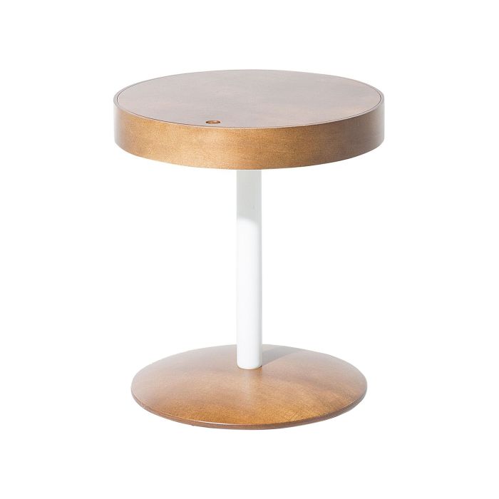 Storage Coffee Table Dark Wood OREGON