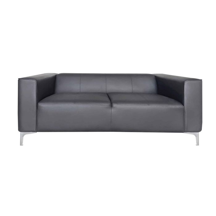 2 Seater Sofa - ASTRU Leather Sofa - Grey