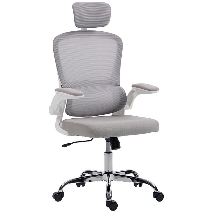 ENVONIS Mesh Fabric Office Chair with Lumbar Support - Grey