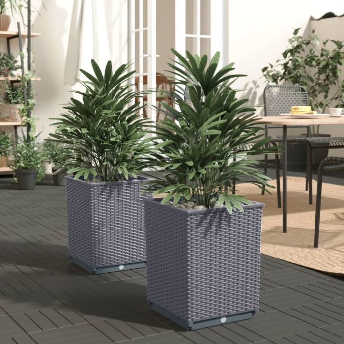 Planters 2 pcs Dark Grey 30x30x37 cm Polypropylene