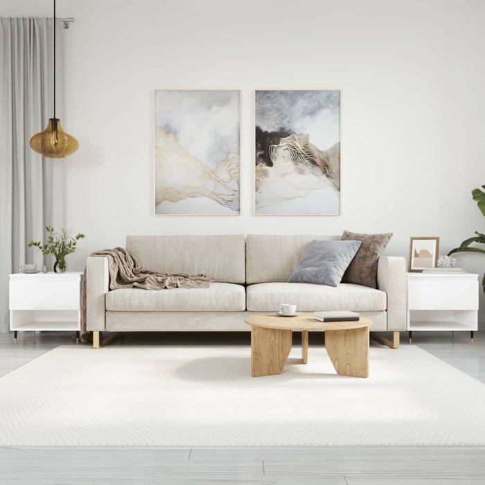 Coffee Tables 2 pcs High Gloss White 50x46x50 cm Engineered Wood