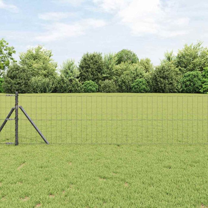 Euro Fence with 13 Posts 0.6x50 m Galvanised Steel in Grey