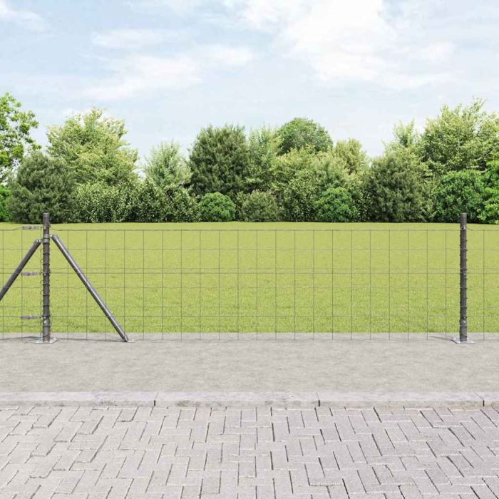 Euro Fence with 13 Flanged Posts 0.6x50 m Galvanised Steel