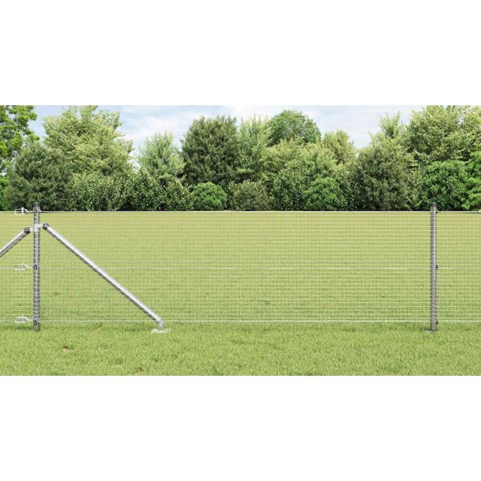 Welded Wire Fence with 13 Spike Posts 0.4x50 m Galvanised Steel