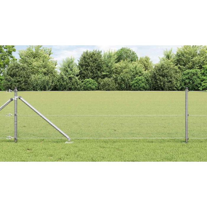 Welded Wire Fence with 13 Spike Posts 0.6x50 m Galvanised Steel
