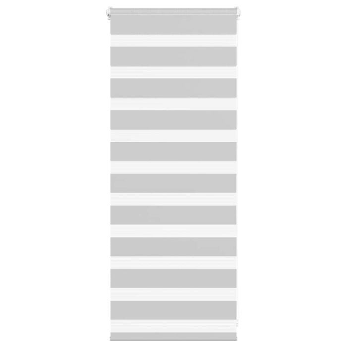 Zebra Blind Light Grey 65x100 cm Fabric Width 60.9 cm Polyester