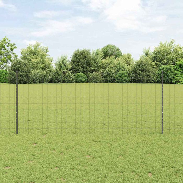 Euro Fence with 10 U Posts Grey 1x10 m Steel