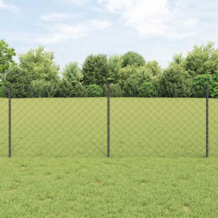 Chain Link Fence with 10 U Posts Grey 0.8x10 m Steel