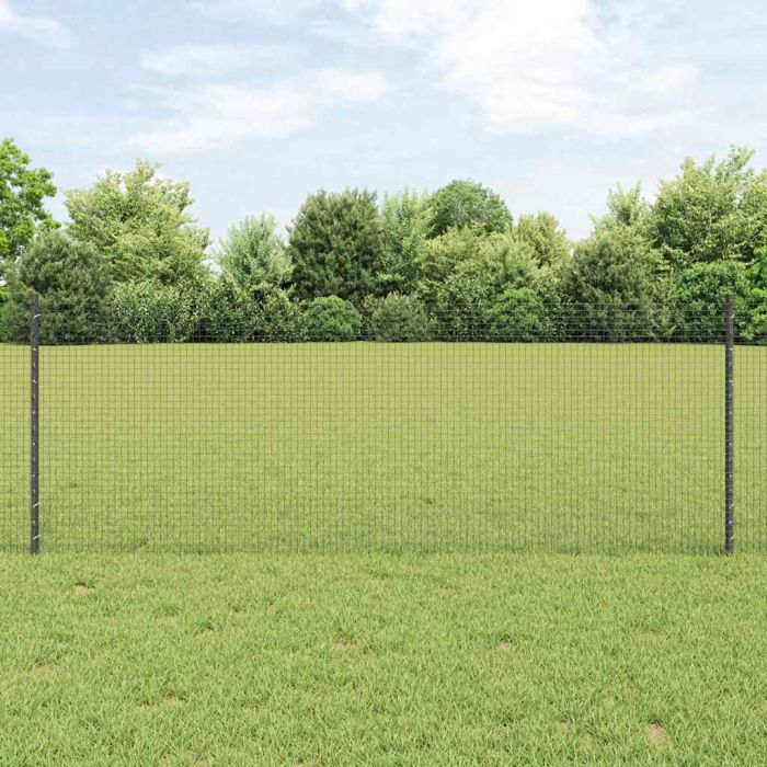 Welded Wire Fence with 44 U Posts Grey 0.8x100 m Steel