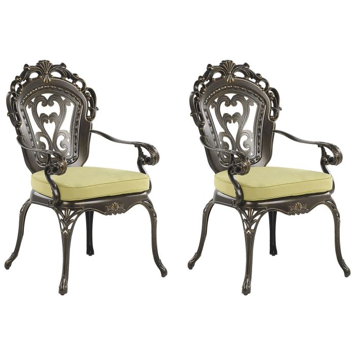 Set of 2 Garden Chairs Brown SAPRI