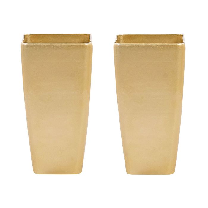 Set of 2 Flower Pots 30 x 30 x 57 cm Gold MODI