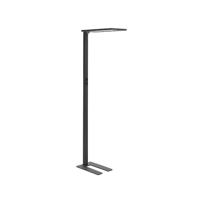 Metal LED Floor Lamp Black ORION
