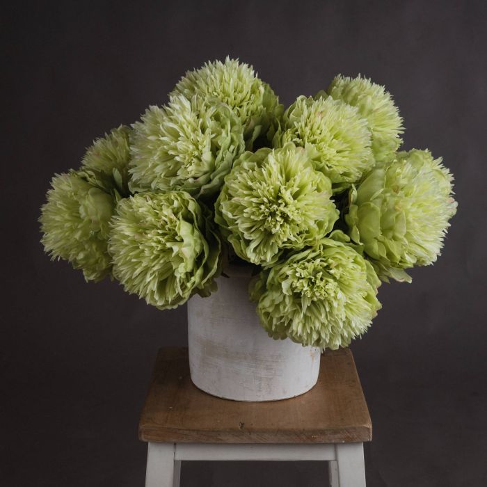 Green Peony - Large