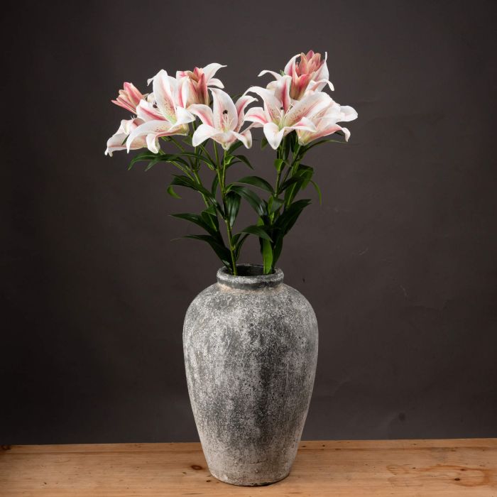 Stargazer Lily - White