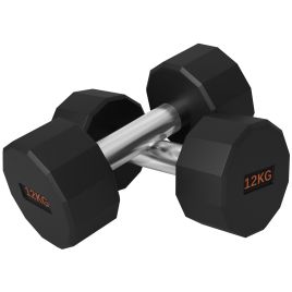 Gym Accessories - 12kg Anti Slip Dumbbells Set for Home Gym Black 26cm