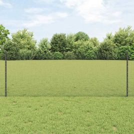 Welded Wire Fence with 5 U Posts Grey 0.8x10 m Steel