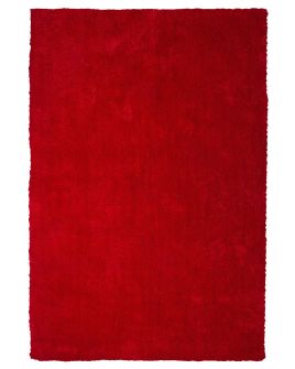 Shaggy Area Rug 140x200cm Red