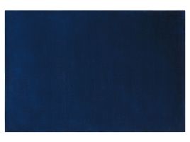 Viscose Area Rug 160x230cm Navy Blue