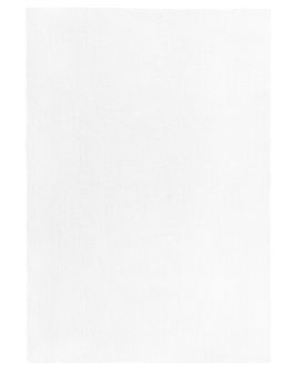 Shaggy Area Rug 140x200cm White