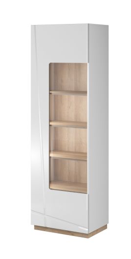 ACE FU-02 Display Cabinet