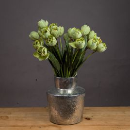 Green Tulip - Green