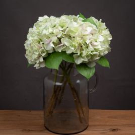 Jimmy Single Hydrangea - Green