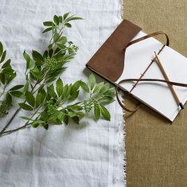 Long Fennel Stem - Green