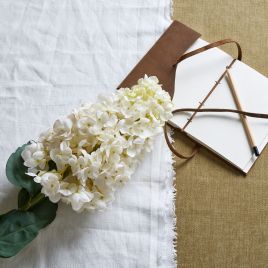Spear Hydrangea - White