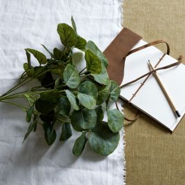 Short Eucalyptus Bunch - Pink
