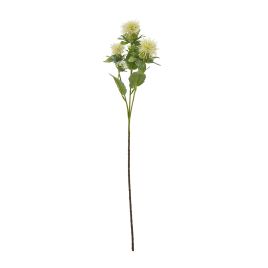 Cremo Safflower Spray