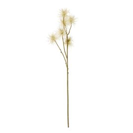 Cremo Xanthium Spray