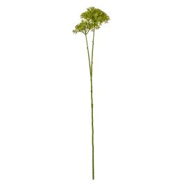Blanor Green Crown Hydrangea Stem