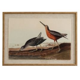 Flor Snipes Art In Beaded Frame