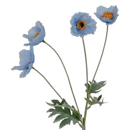Blanor Blue Papaver Poppy Spray