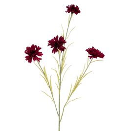 Burgo Cornflower Stem
