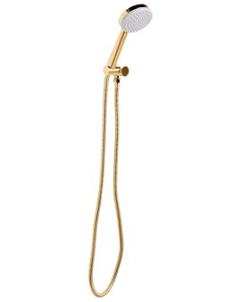 DALWELL Shower Head and Hose Kit - Gold