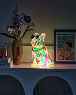 CIMAXO Christmas Decor LED Dog with Lights - Multicolour