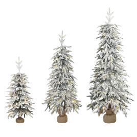BLAZEDALE Set of 3 Pre-Lit Snow-Flocked Christmas Trees, 35ft