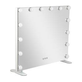 LED Lighted Vanity Mirror with 14 LED Bulbs