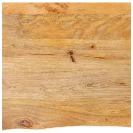 Table Top Live Edge 40x40x2.5 cm Solid Wood Mango