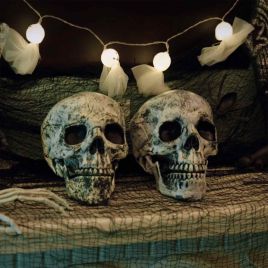 SPOOKA Halloween Skull Decorations - Set of 2 White Plastic Skull Props 12 x 15 x 17.5 cm