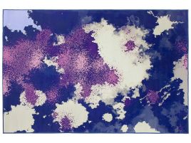 Area Rug 160x230cm Multicolour