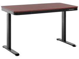 Electric Adjustable Standing Desk 120 x 60 cm with USB port Dark Wood and Black KENLY