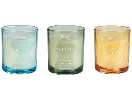 3 Soy Wax Scented Candles Ocean / White Tea / Summer Meadow