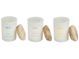 3 Soy Wax Scented Candles Ocean / Bergamot / Fresh Linen