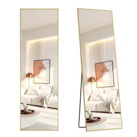LOXEDE Rectangular Full Length Mirror 160 x 50 cm - Pale Gold