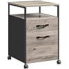 Mobile Office File Cabinet